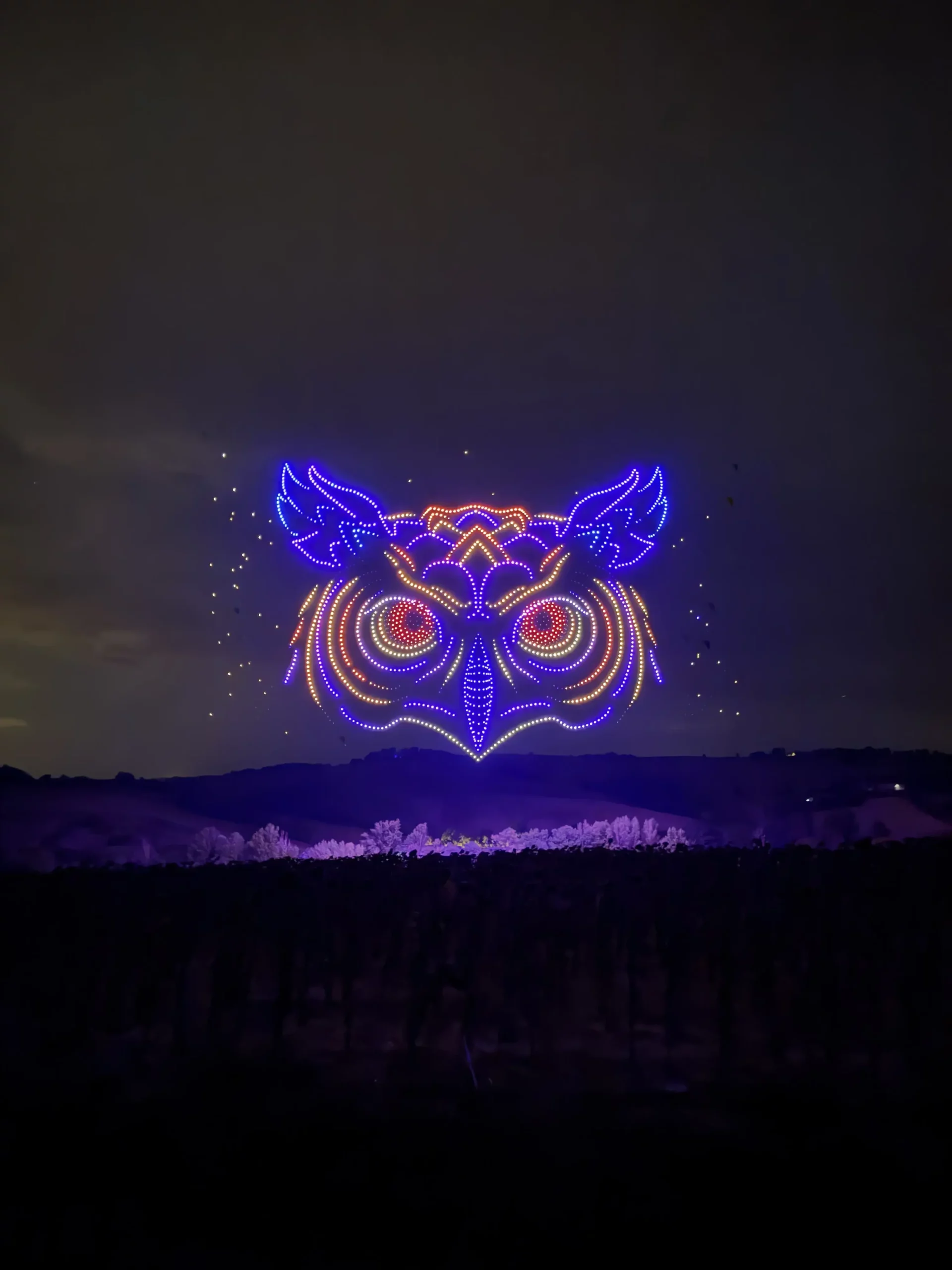 Night sky drone light show displaying a detailed owl face design in blue, red, and gold lights above a vineyard landscape.